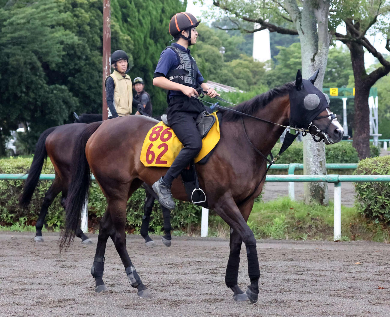 馬場へ向かうオーブルクール（撮影・丹羽敏通）