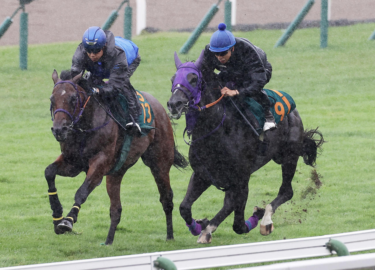 横山武史騎手を背に、函館芝コースで併せ馬追い切られるクラディスティーナ（右）