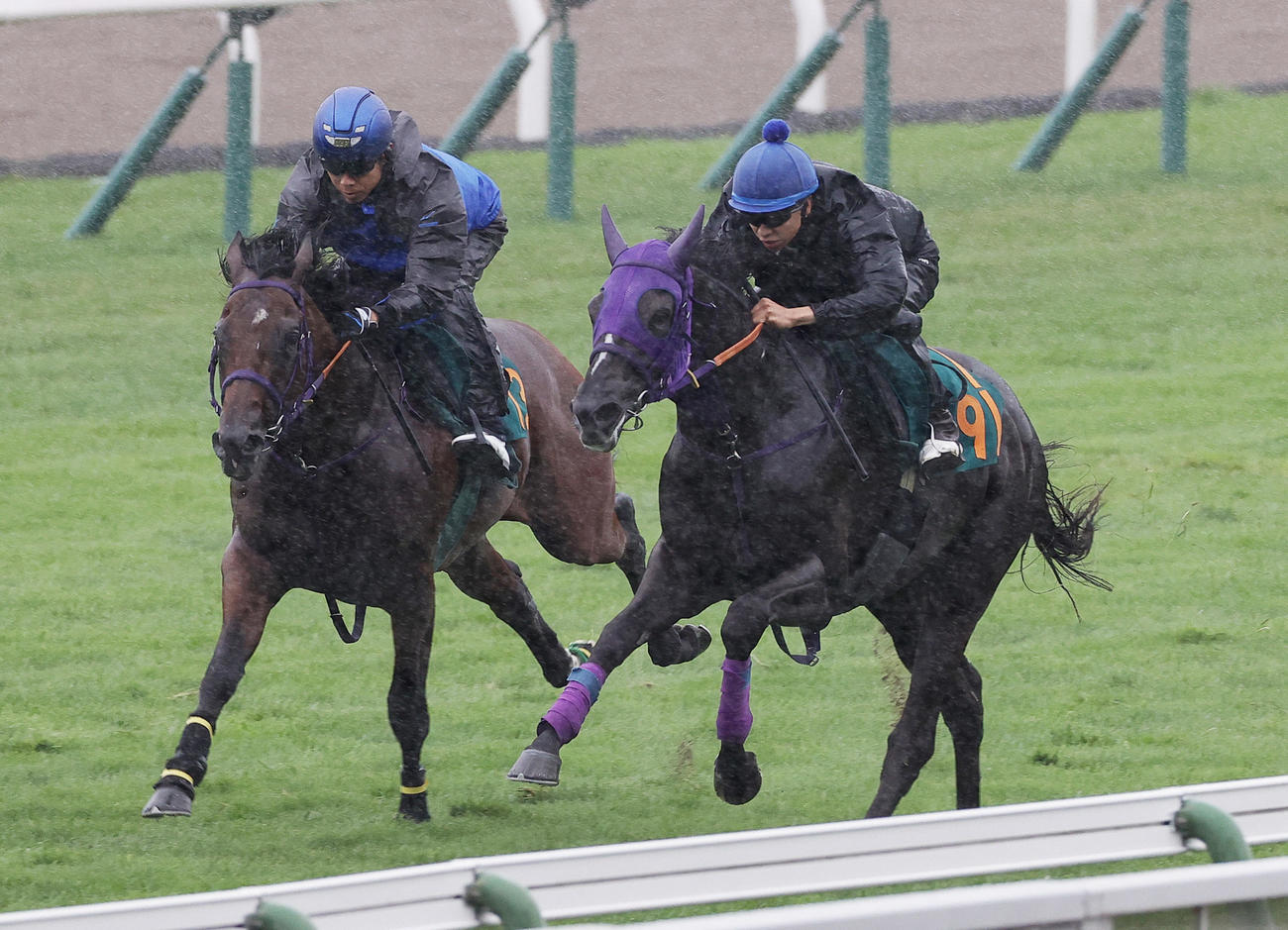 横山武史騎手を背に、函館芝コースで併せ馬追い切られるクラディスティーナ（右）