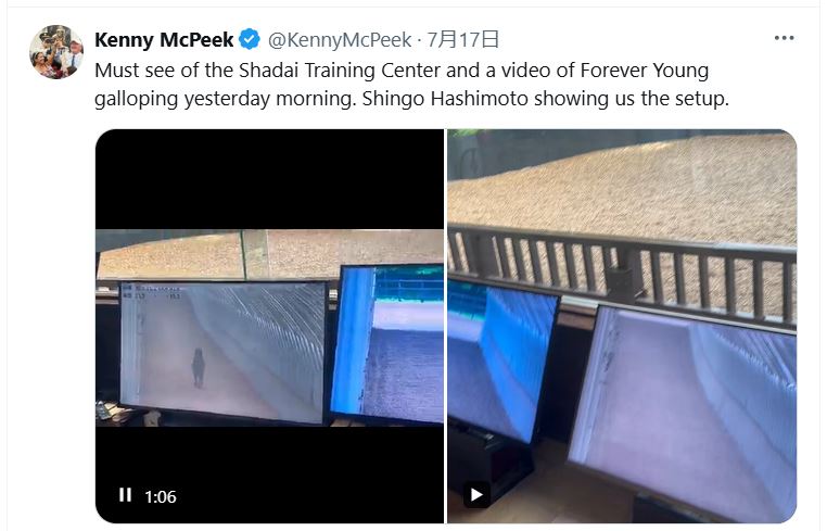 マクピーク調教師のXから