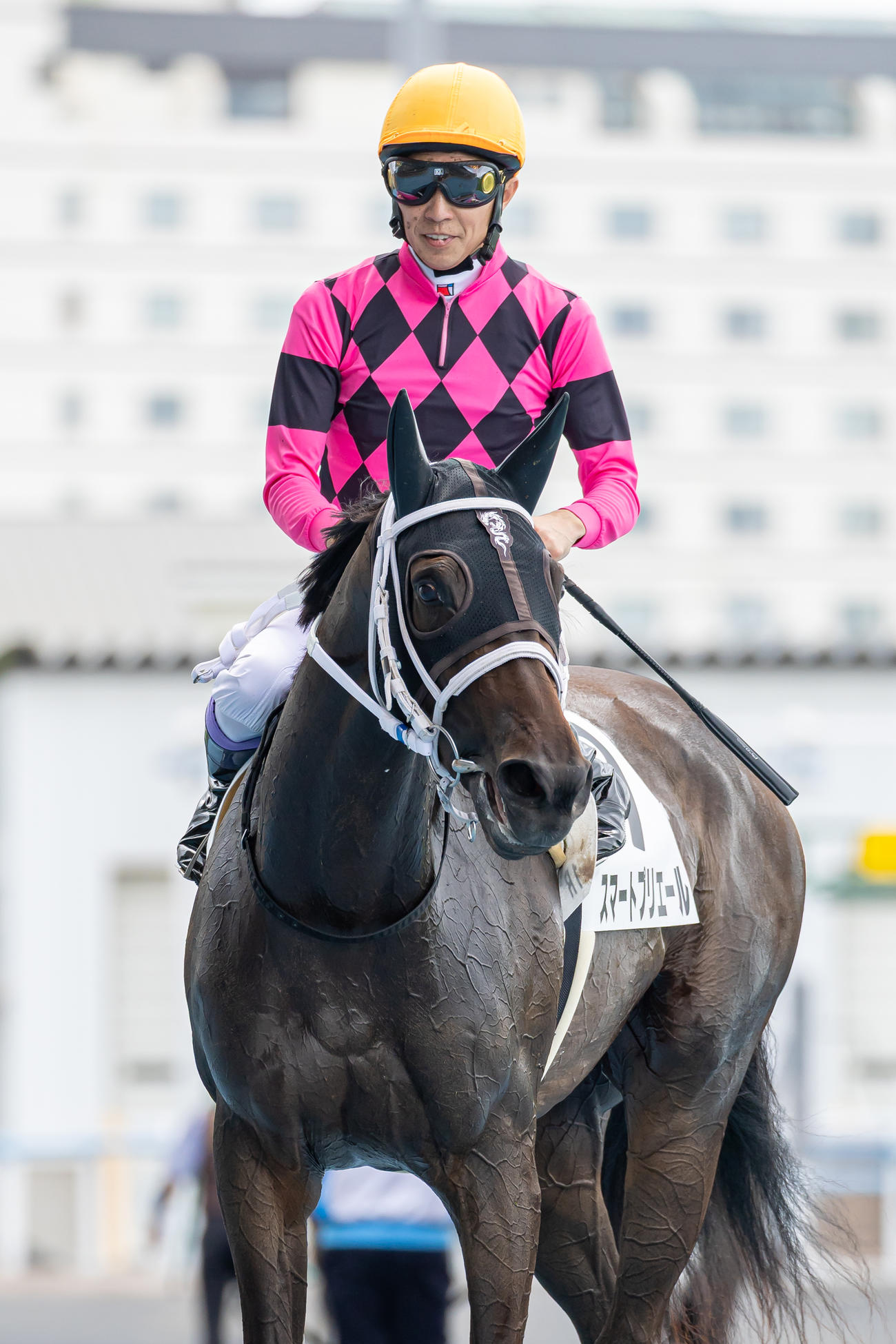 函館1R、2歳未勝利を勝ち上がったスマートプリエールと武豊騎手（撮影・村野早祐）