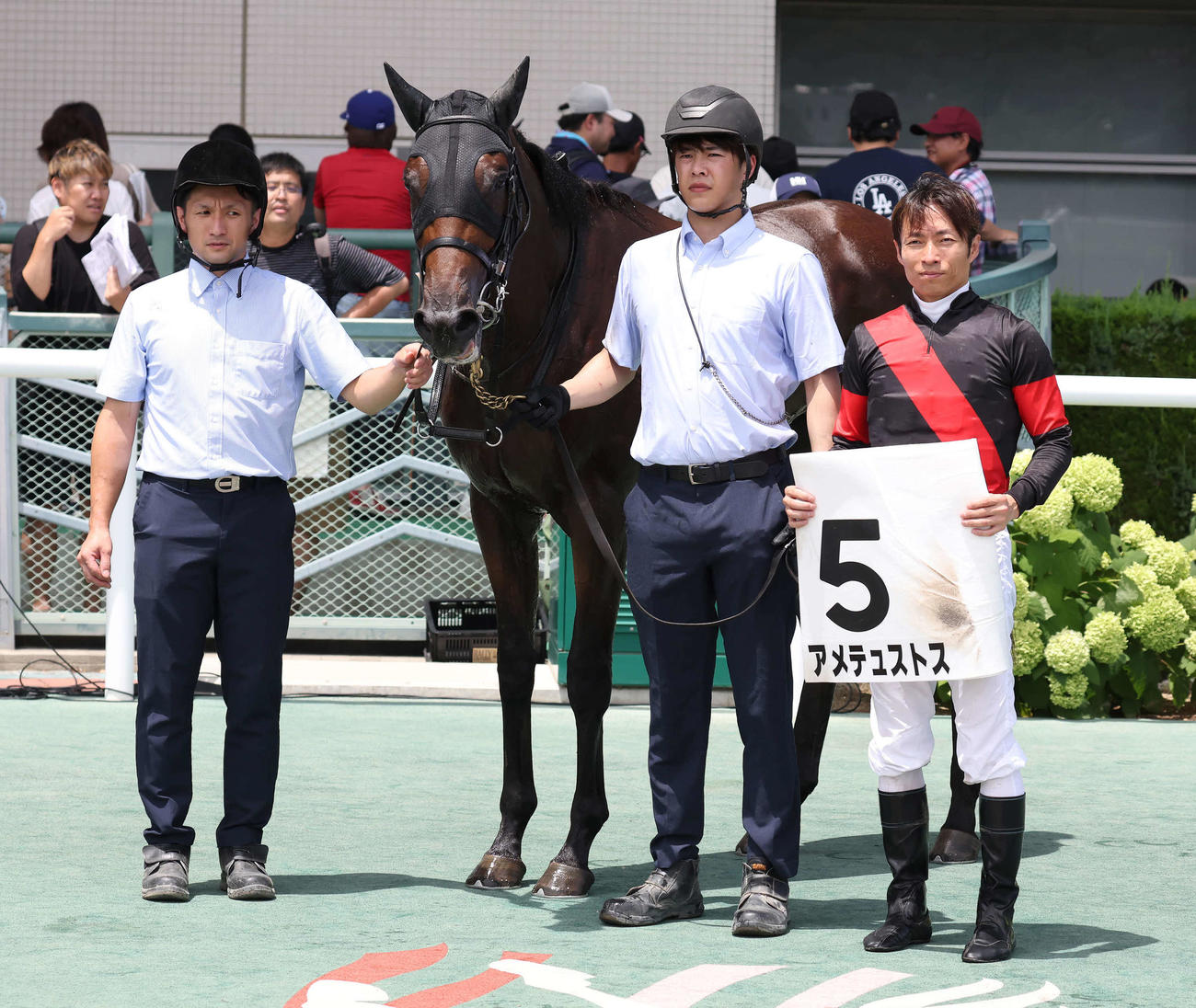 福島3R、2歳未勝利戦を制したアメテュストスの口取りをする大野騎手（撮影・丹羽敏通）