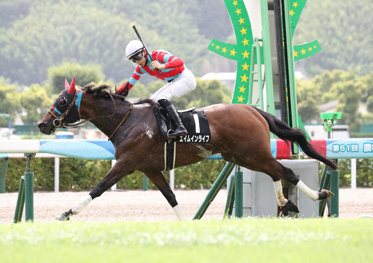 テレQ杯を制したエイムインライフと高杉騎手（撮影・梅根麻紀）