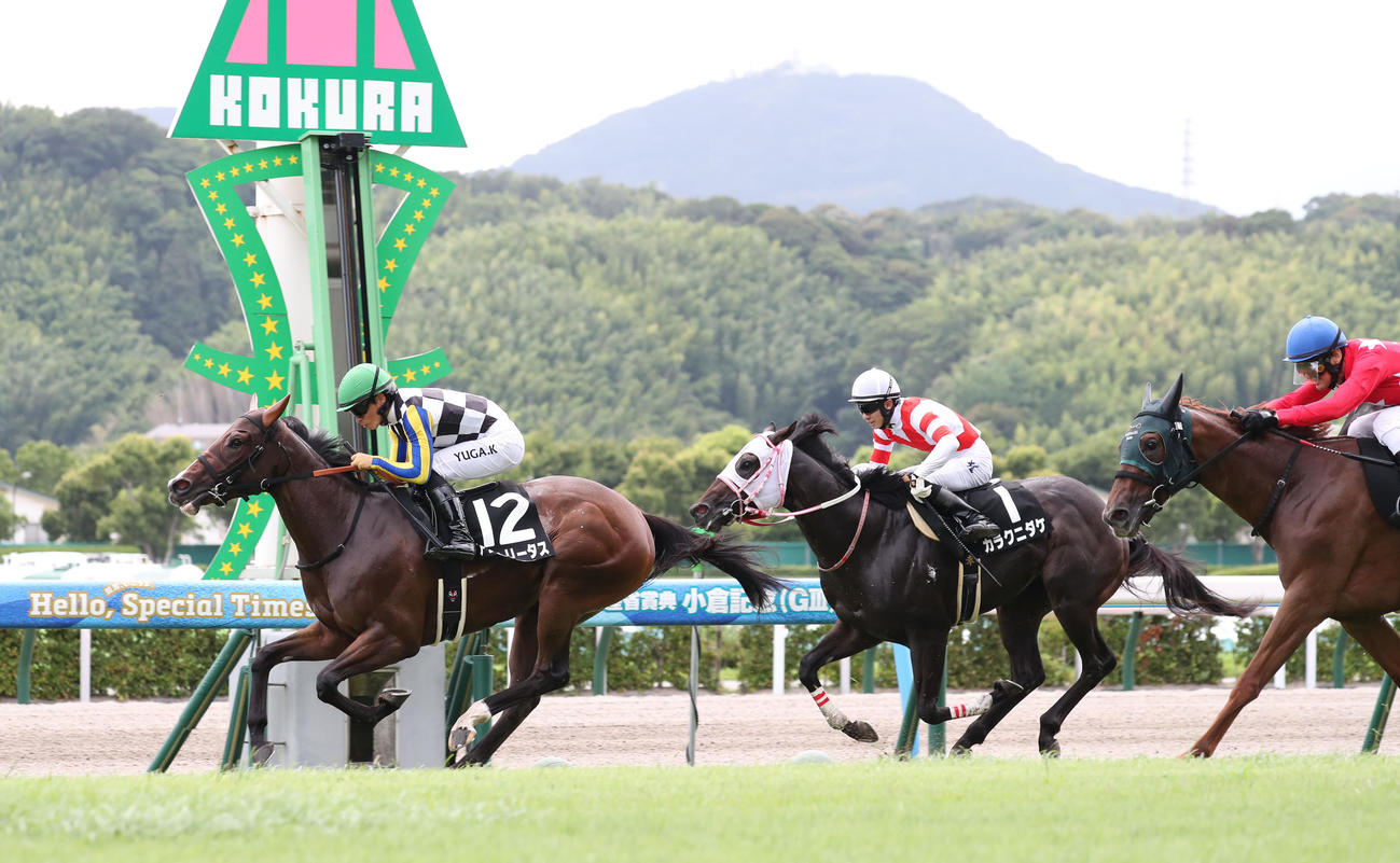 ひまわり賞を制したアンヘリータスと川田騎手（左）（撮影・梅根麻紀）