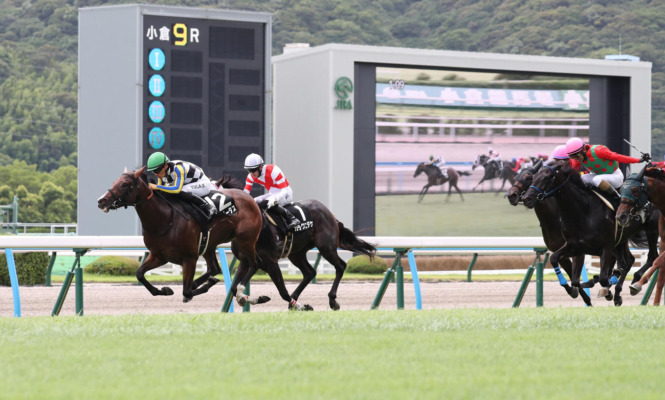 ひまわり賞を制したアンヘリータスと川田騎手（左）（撮影・梅根麻紀）