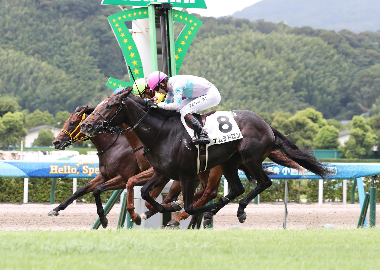 小倉5R、2歳新馬戦を制したナムラドロンと松山騎手（撮影・梅根麻紀）