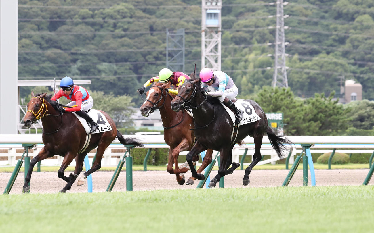 小倉5R、2歳新馬戦を制したナムラドロンと松山騎手（右）（撮影・梅根麻紀）