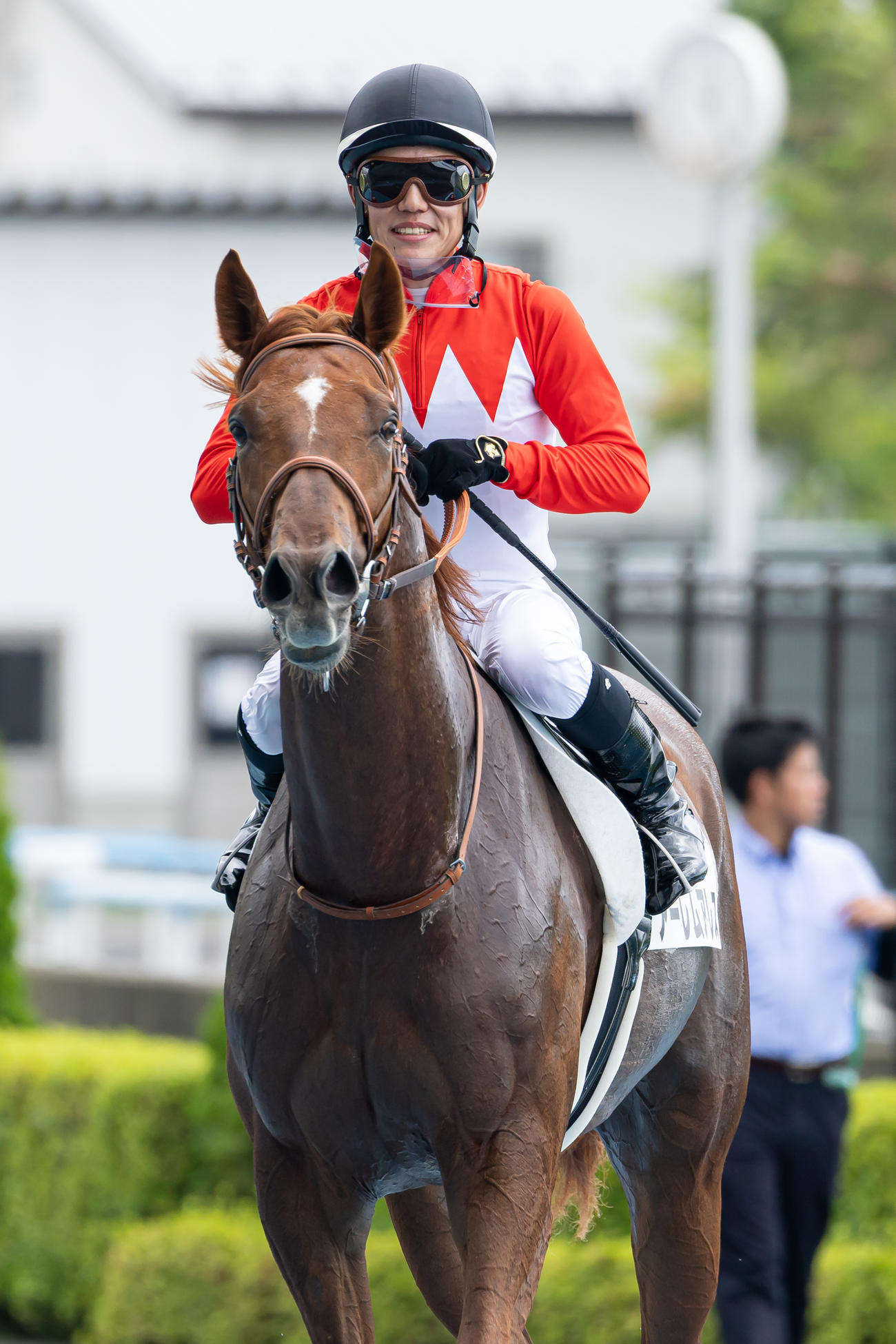 函館5R、デビュー戦を制したアーレムアレスと菱田騎手（撮影・村野早祐）