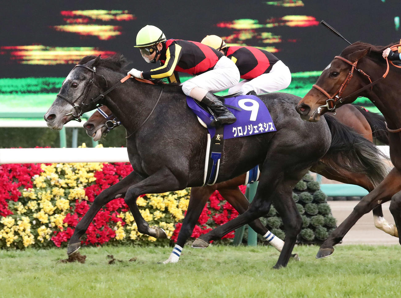 2020年、有馬記念を制したクロノジェネシス