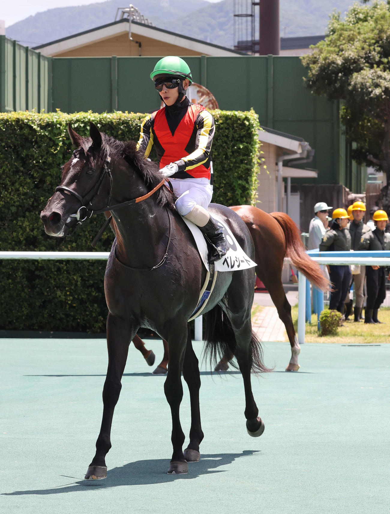 2歳新馬を制したベレシートと北村騎手（撮影・梅根麻紀）