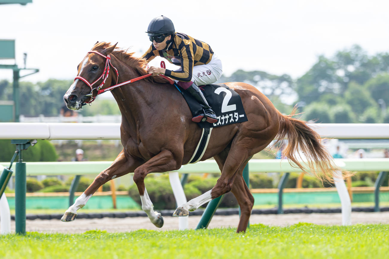 函館9R、潮騒特別を制したモズナナスターと横山武騎手（撮影・村野早祐）