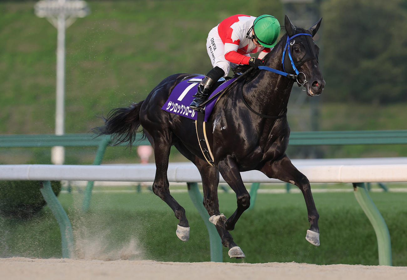 やまびこ賞を快勝したサンロックンロール（写真提供・岩手県競馬組合）