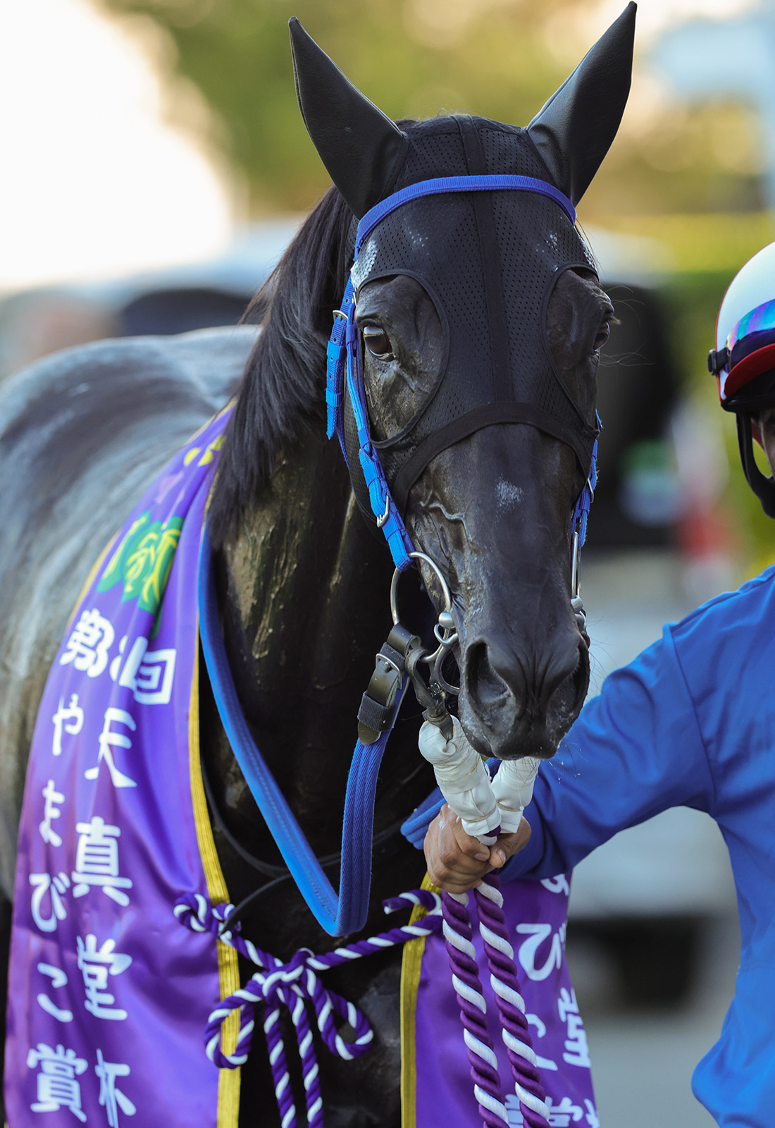 やまびこ賞を快勝したサンロックンロール（写真提供・岩手県競馬組合）