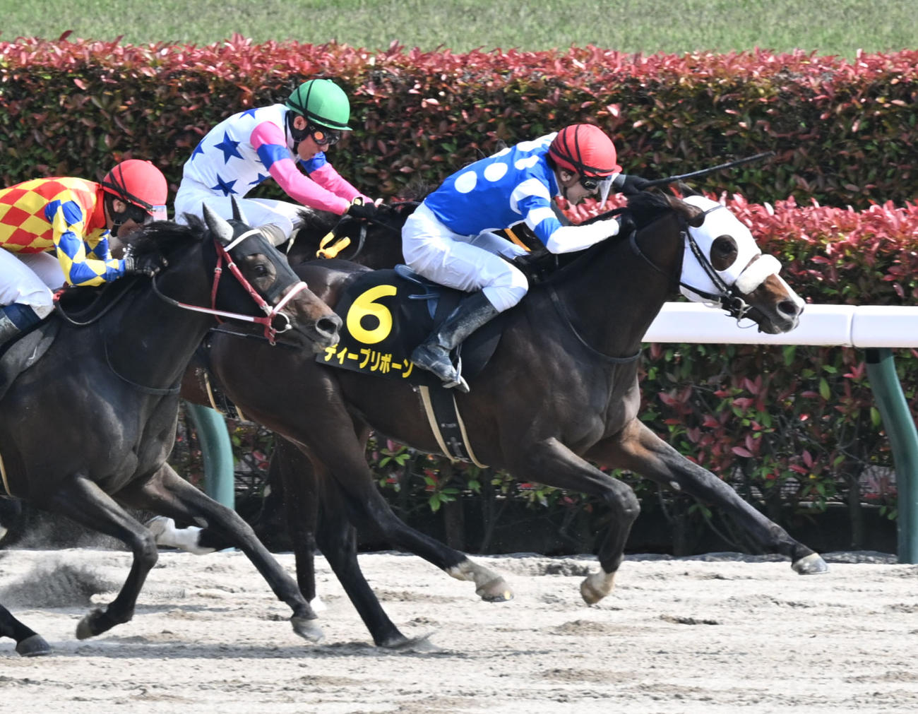 5月4日、ブリリアントSを制したディープリボーンと石橋騎手