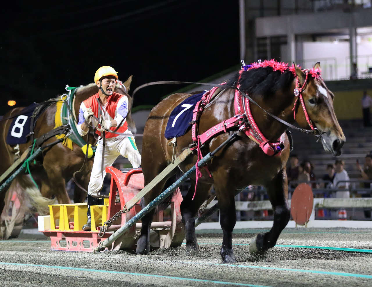 ばんえい大賞典を制したスターイチバン（写真提供・ばんえい十勝）