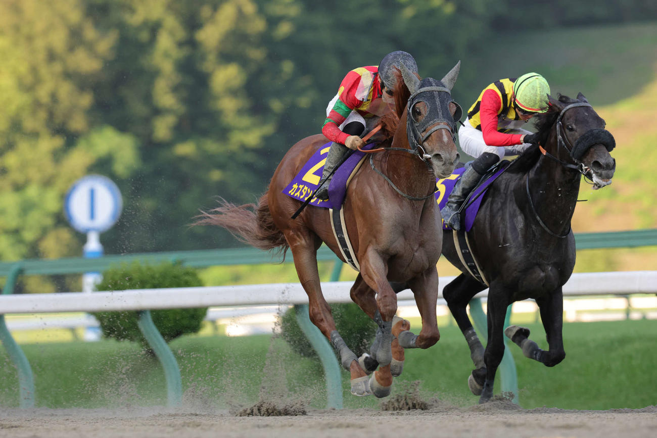 マーキュリーCで重賞初制覇を飾ったカズタンジャー。2着はクラウンプライド（右）（提供・岩手県競馬組合）