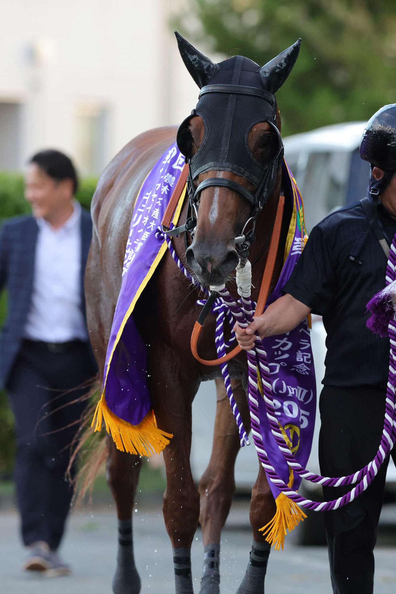 マーキュリーCで重賞初制覇を飾ったカズタンジャー