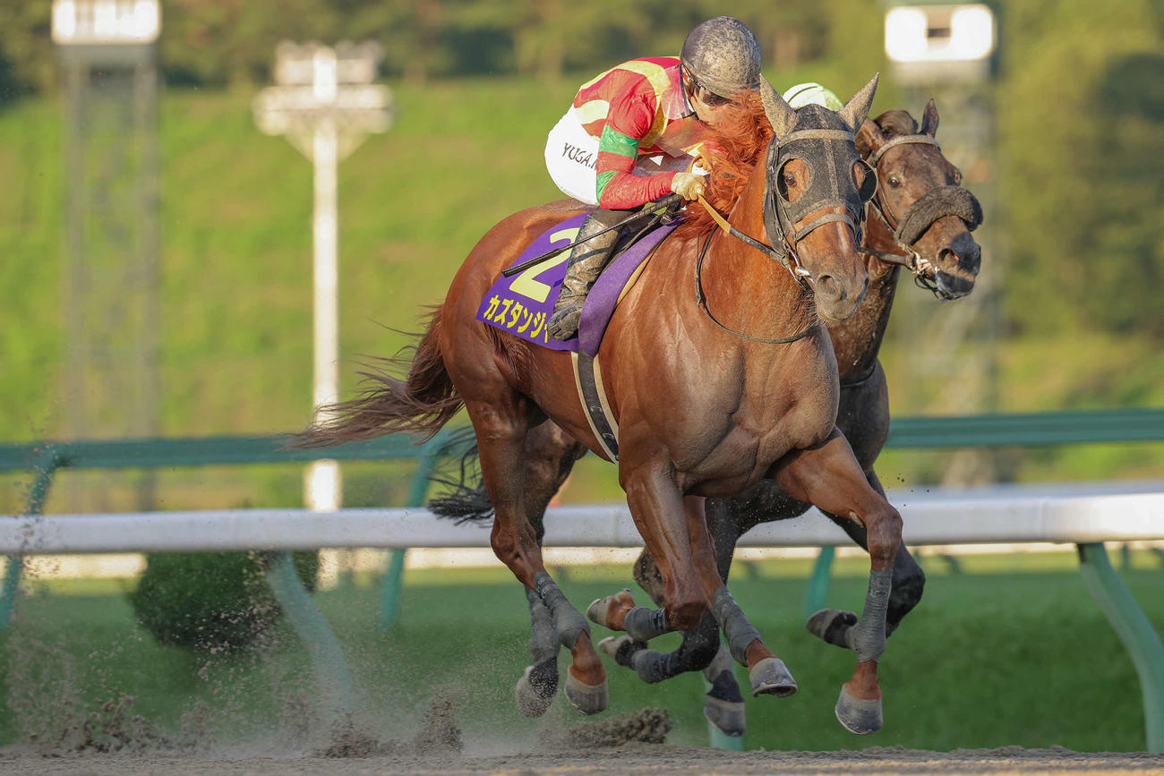 マーキュリーCで重賞初制覇を飾ったカズタンジャー（提供・岩手県競馬組合）