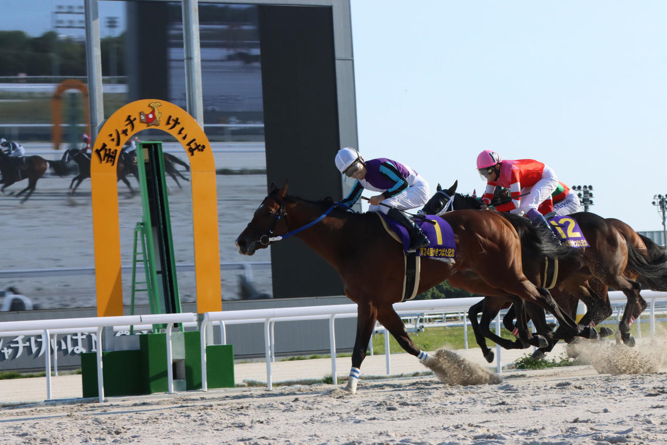 22年かきつばた記念を制したイグナイター（提供・愛知県競馬組合）