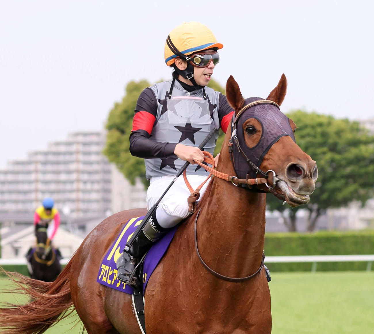 皐月賞8着に敗れたアロヒアリイと横山和騎手