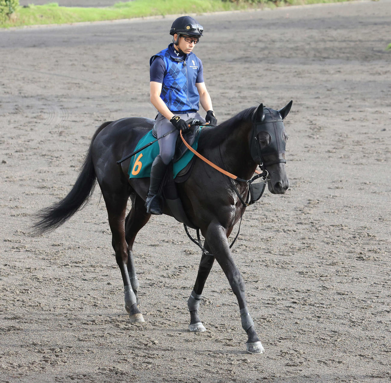 馬場へ向かう宮田厩舎のペルウィクトール（撮影・丹羽敏通）