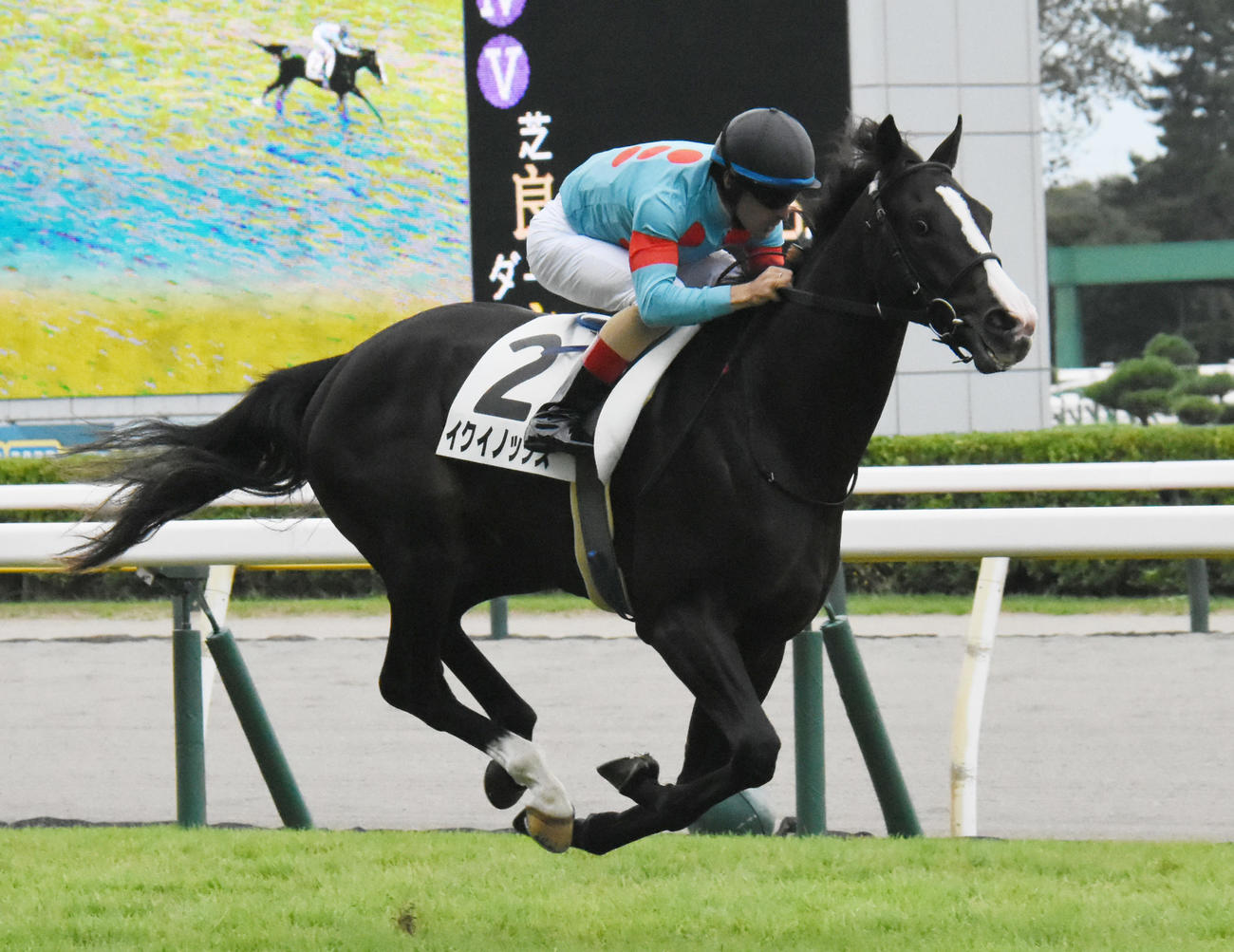 21年8月、デビュー戦を6馬身差で圧勝したイクイノックスとルメール騎手