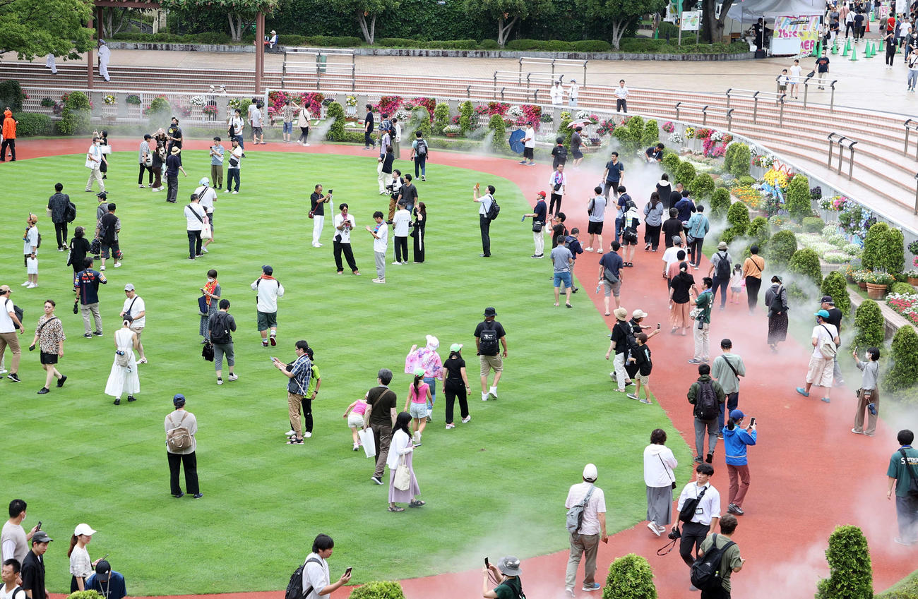 昨年、新潟競馬場では暑熱対策の昼休みにパドックウオークが行われた（2024年7月27日撮影）