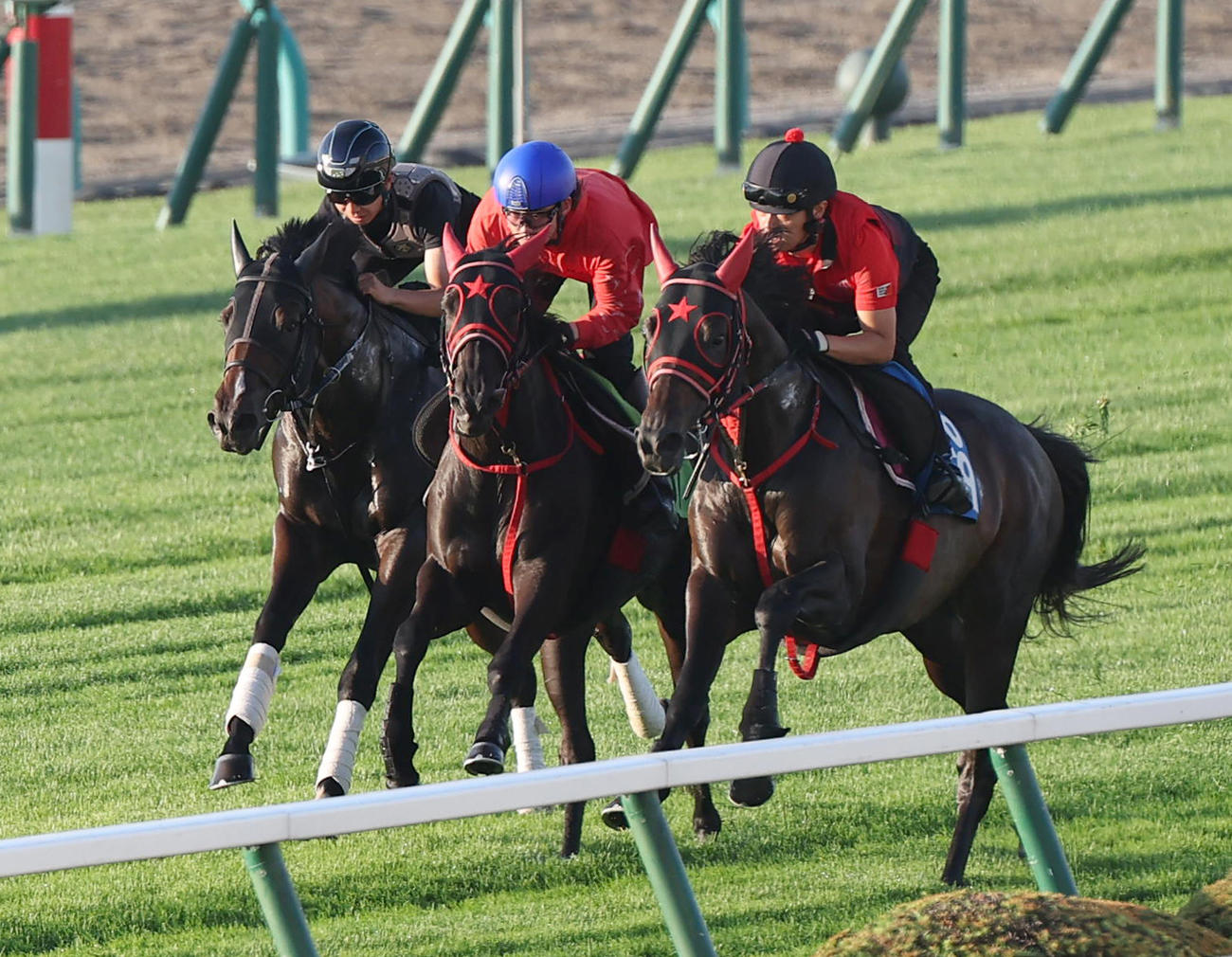 斎藤手を背に、札幌芝コースで併せ馬で追い切られるシンデレラガール（中央）