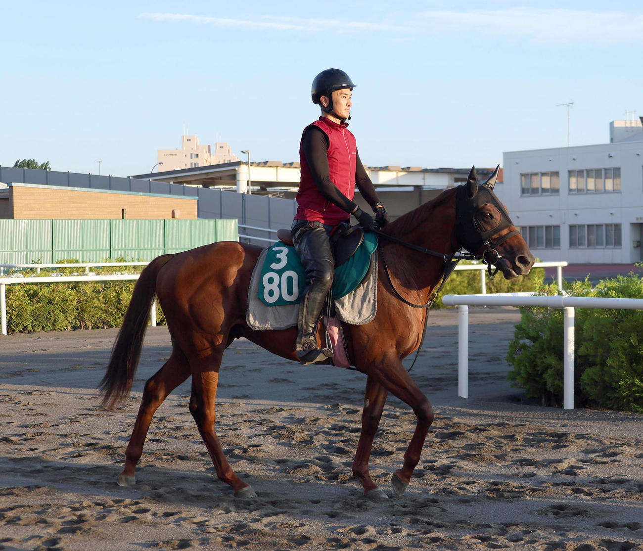 札幌競馬場で調整するメイショウコシュウ