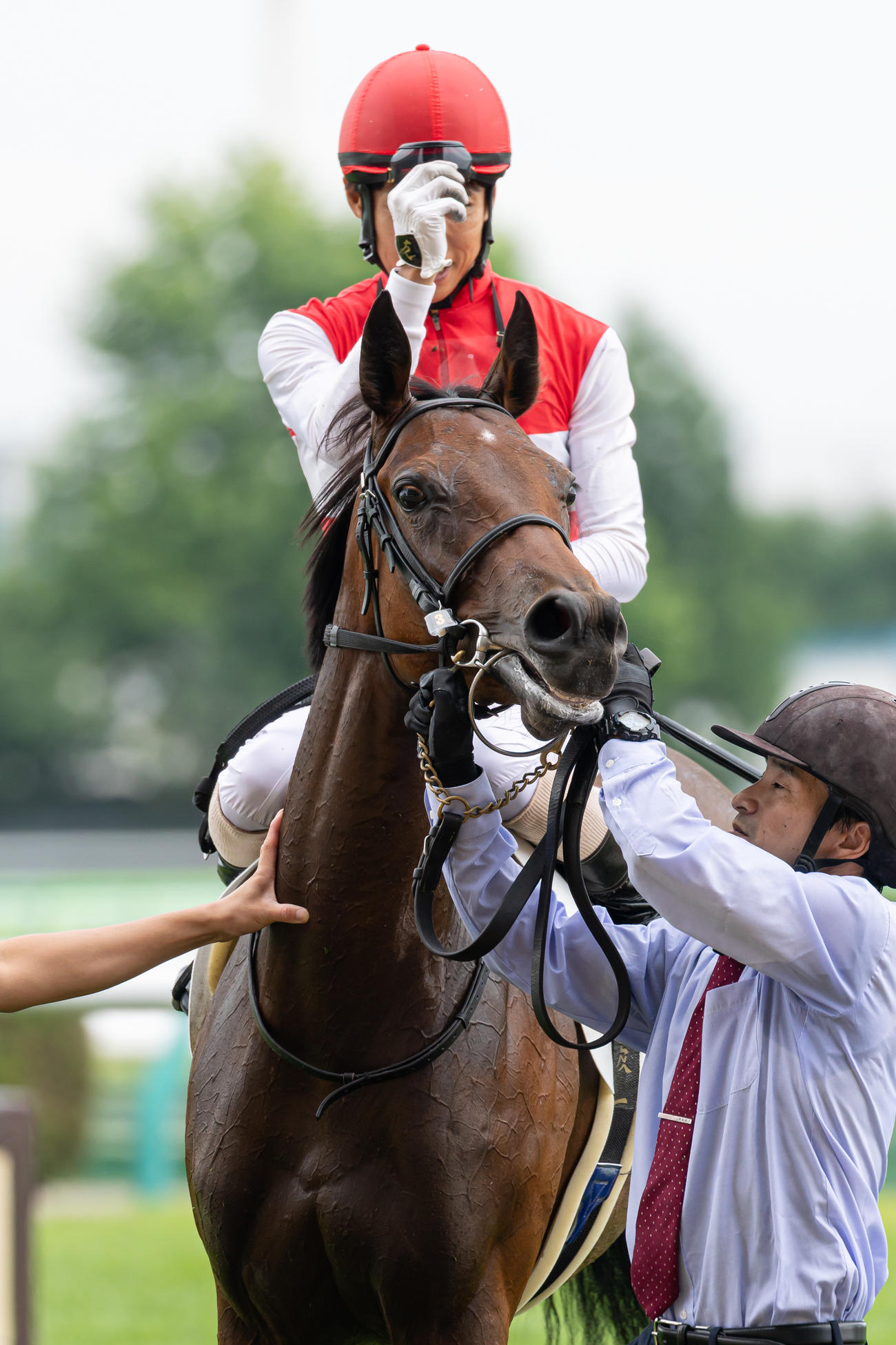 札幌1R、2歳未勝利を勝ち上がったショウナンカリスと北村友騎手（撮影・村野早祐）