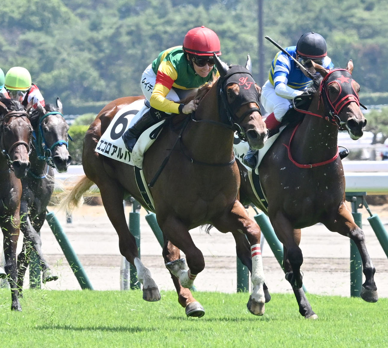 新潟3R、2歳新馬戦を制したエコロアルバとキング騎手（中央）（撮影・千葉一成）