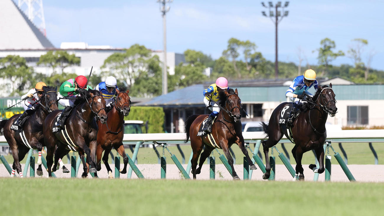 直線抜け出して関ケ原Sを制したグランヴィノス（右）（撮影・白石智彦）