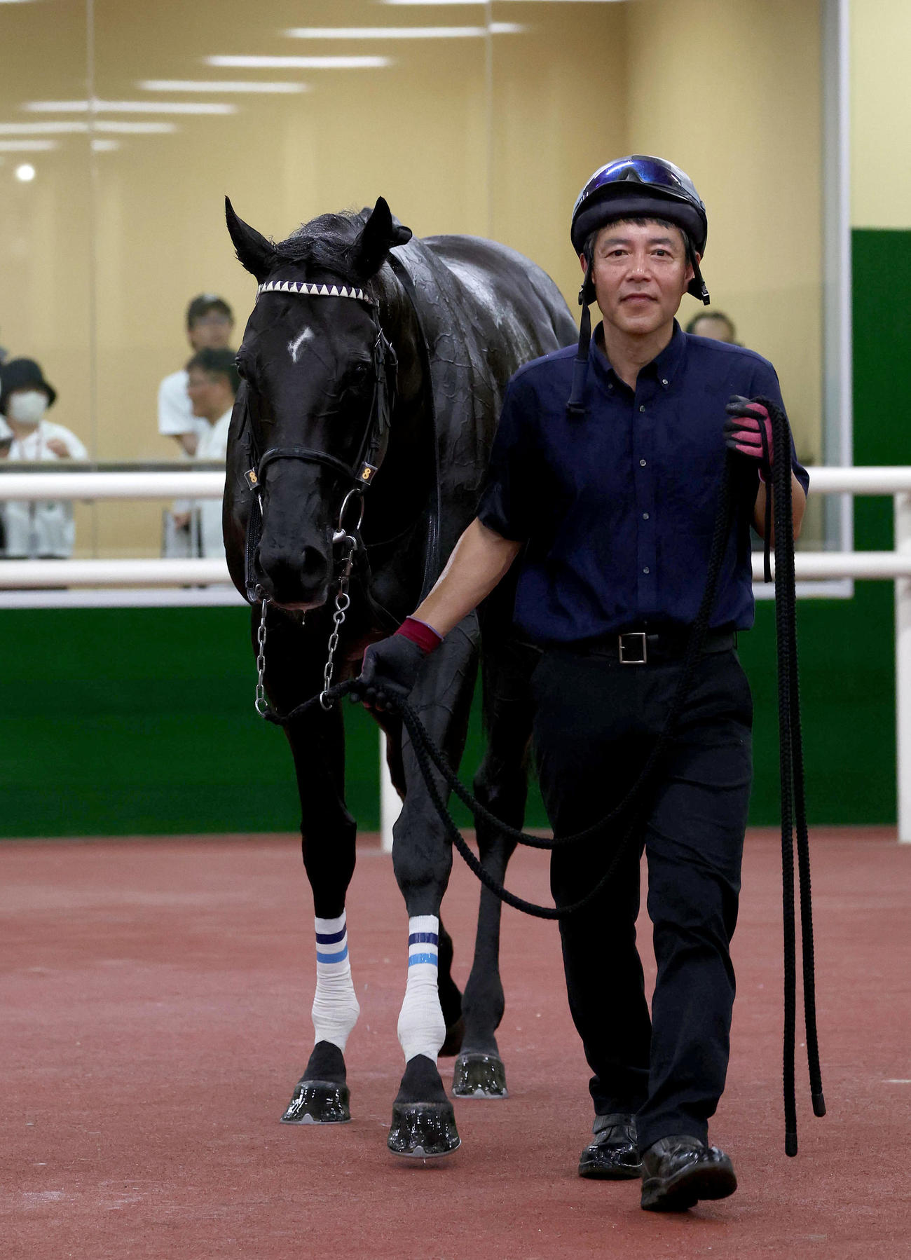 関ケ原Sを制したグランヴィノス（撮影・白石智彦）