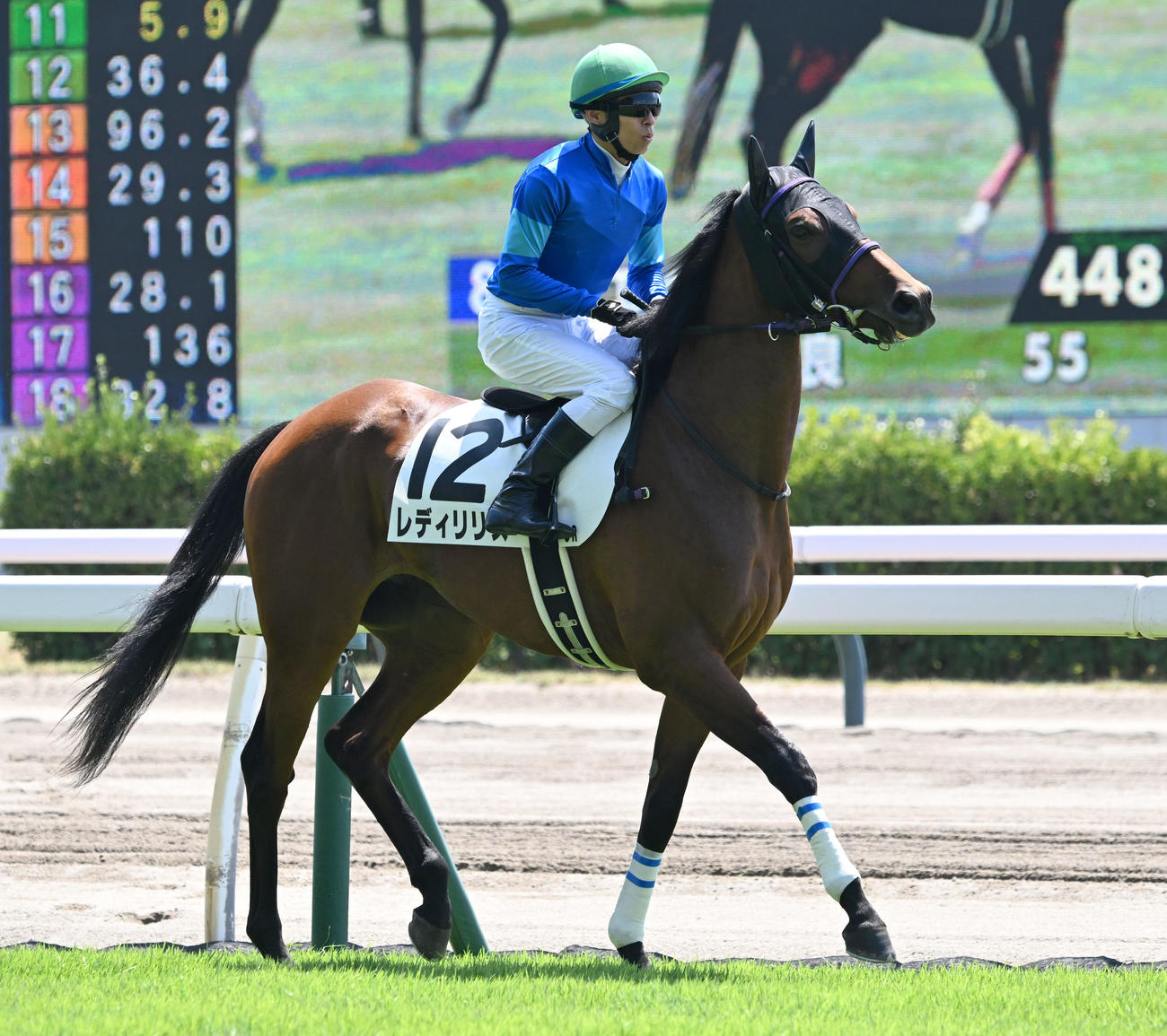新潟3R、2歳歳新馬戦に出走したレディリリスと大野騎手（撮影・千葉一成）