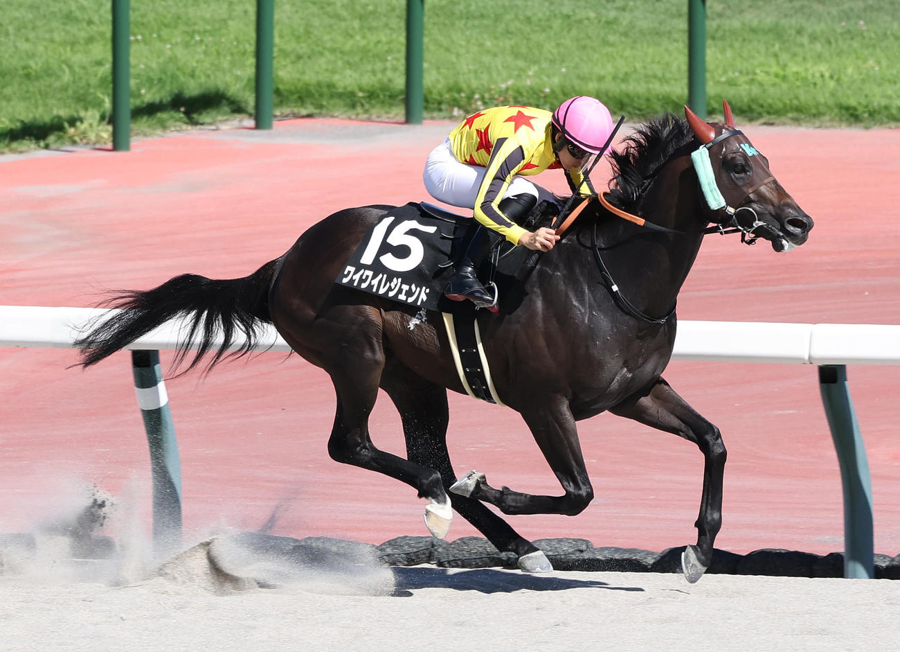 中京6R、逃げ切って四日市特別を制したワイワイレジェンド（撮影・白石智彦）