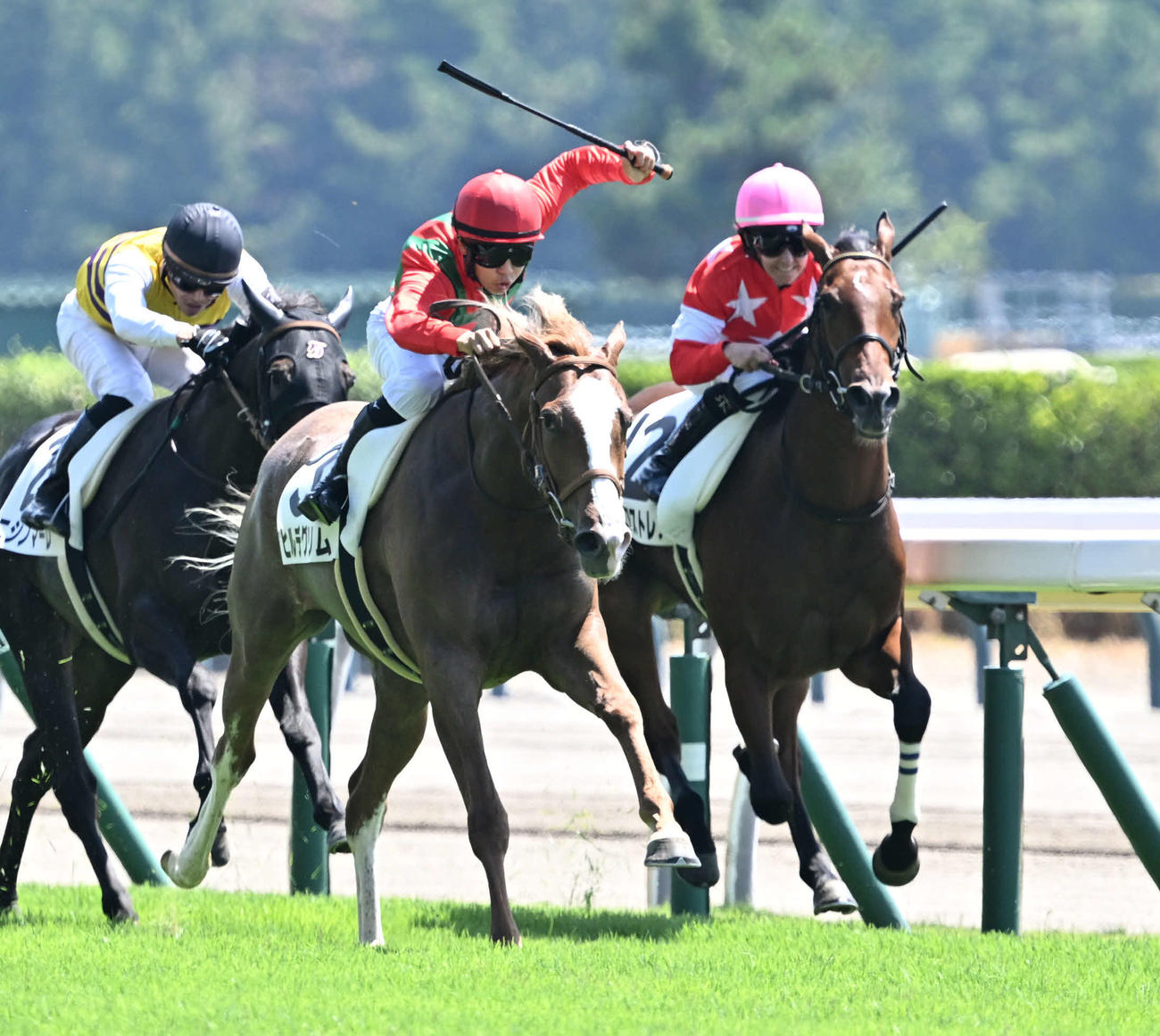 新潟2R、牝馬限定の2歳新馬戦を制したヒルデグリムと石神深道騎手（中央）（撮影・千葉一成）