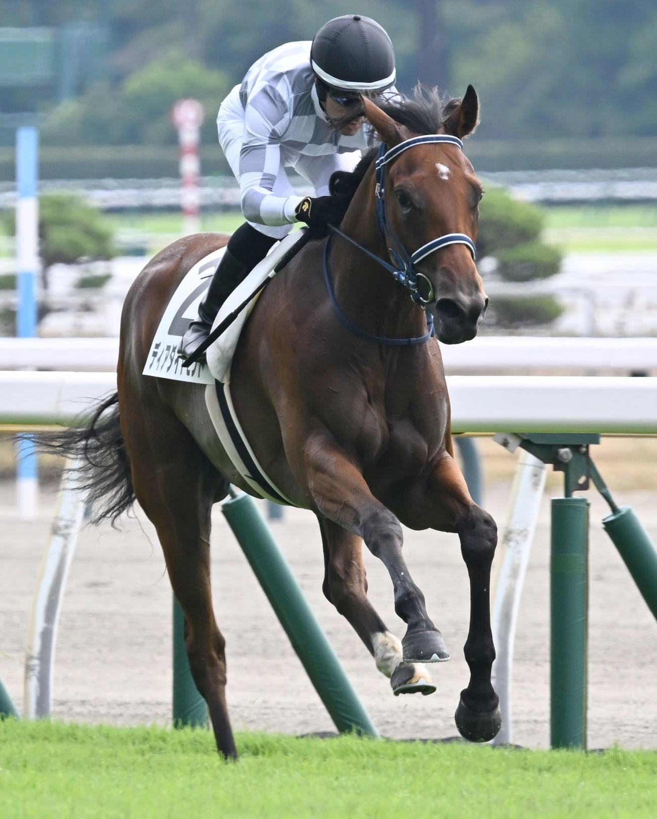 新潟1R、牝馬限定の2歳未勝利戦を制したディアダイヤモンドとルメール騎手（撮影・千葉一成）