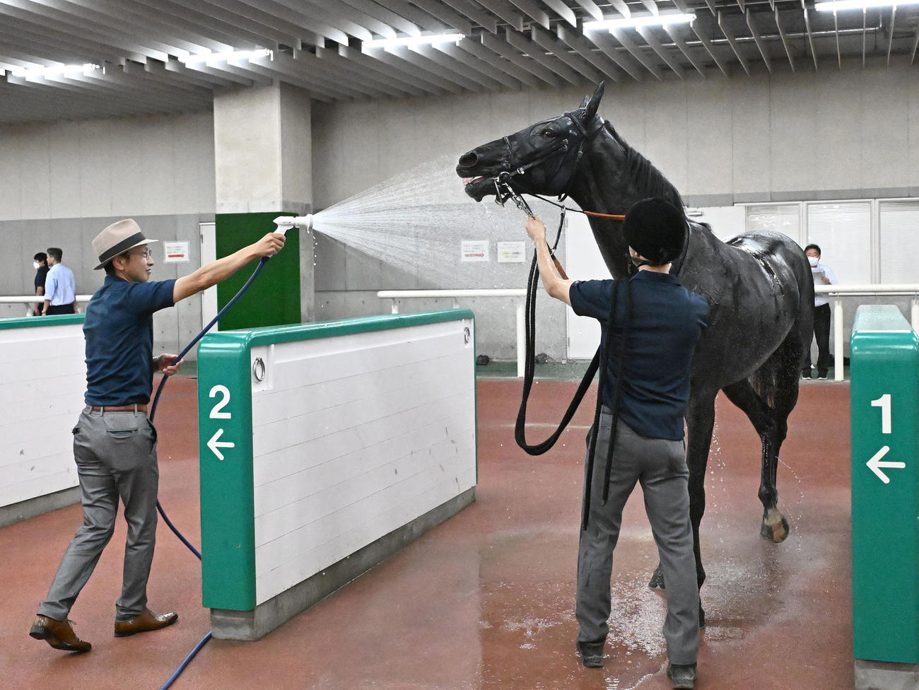 新潟2R、2歳未勝利戦を制し、宮田師（左）から水を浴びせてもらうゾロアストロ（撮影・千葉一成）