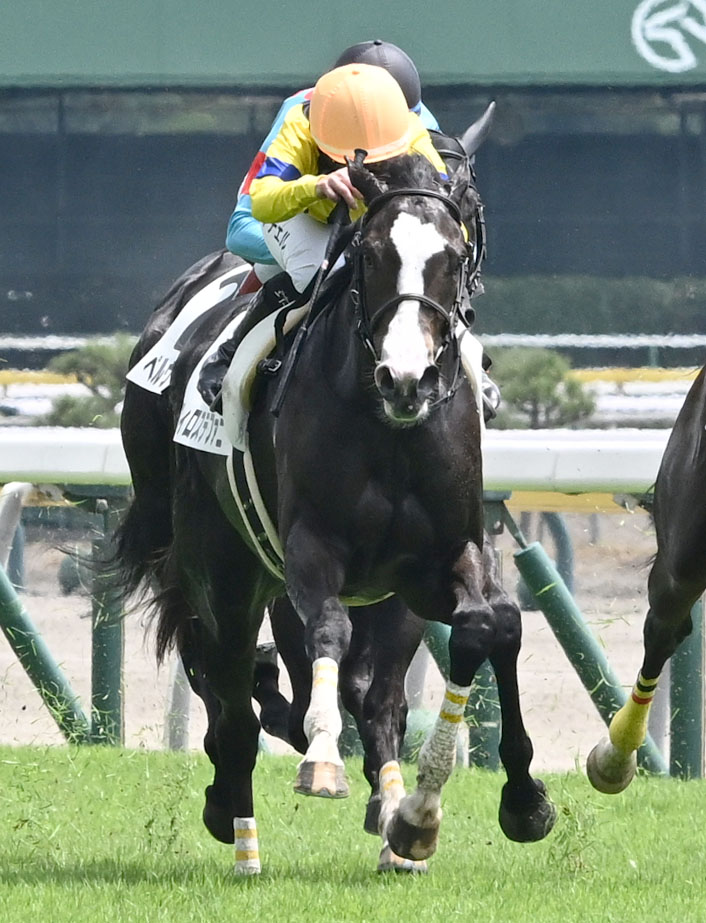 新潟3R、2歳新馬戦を制したフィロステファニとキング騎手（撮影・千葉一成）