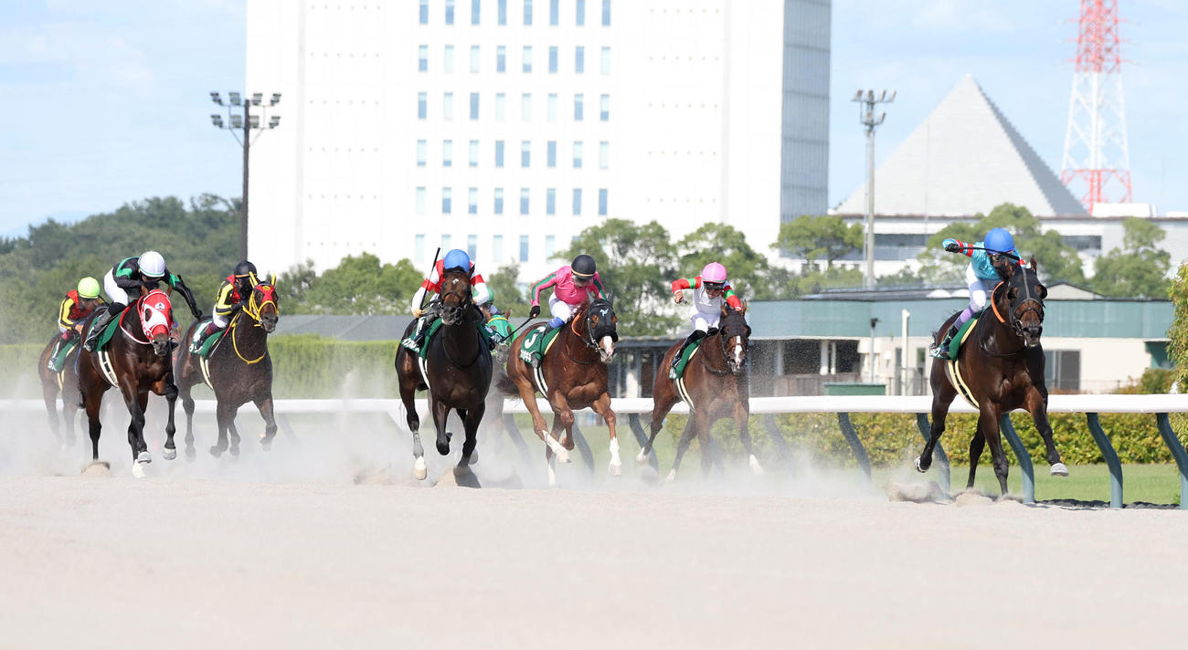 直線抜け出して東海Sを快勝したヤマニンウルス（右）（撮影・白石智彦）