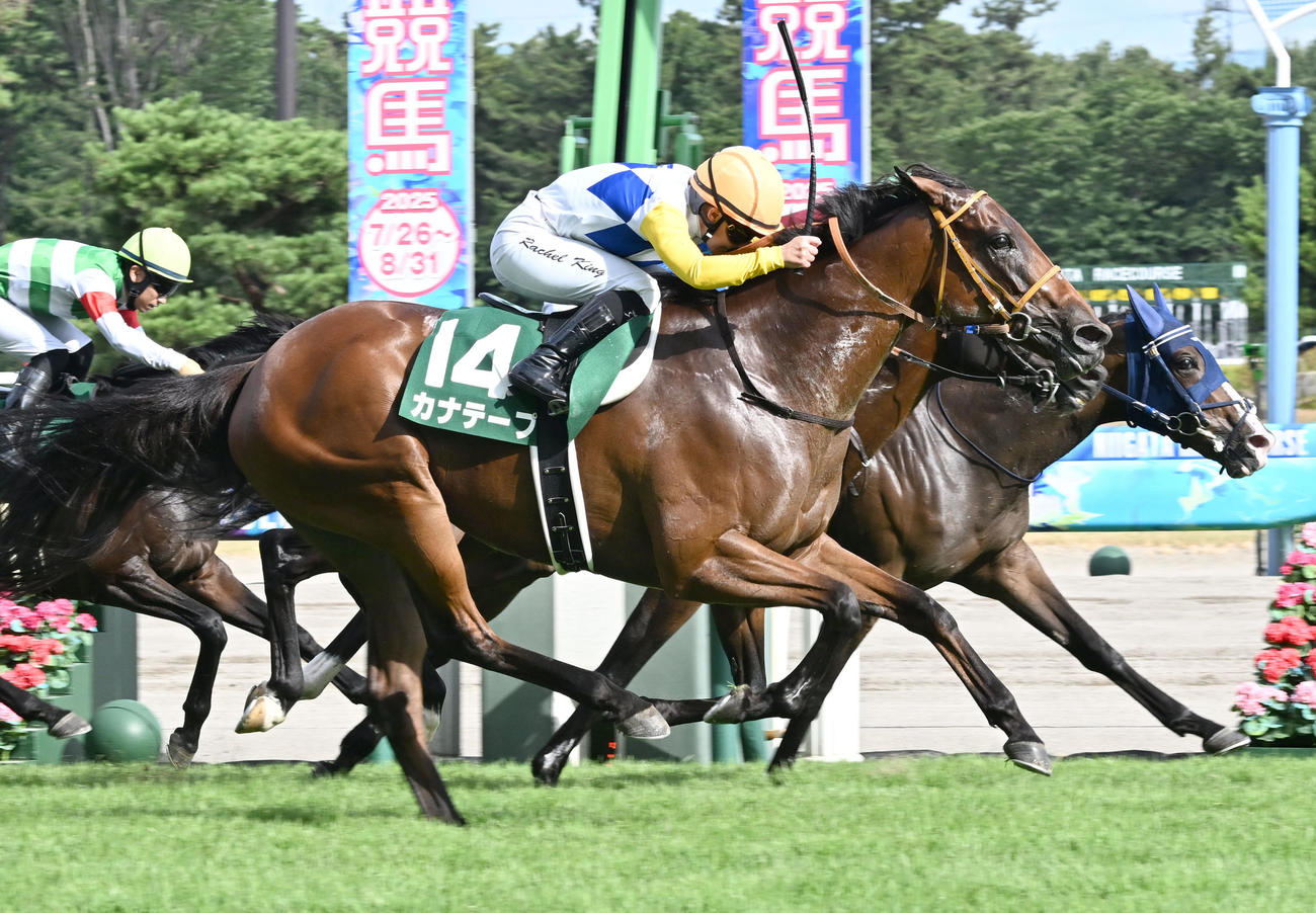 関屋記念を制したカナテープとキング騎手（撮影・千葉一成）