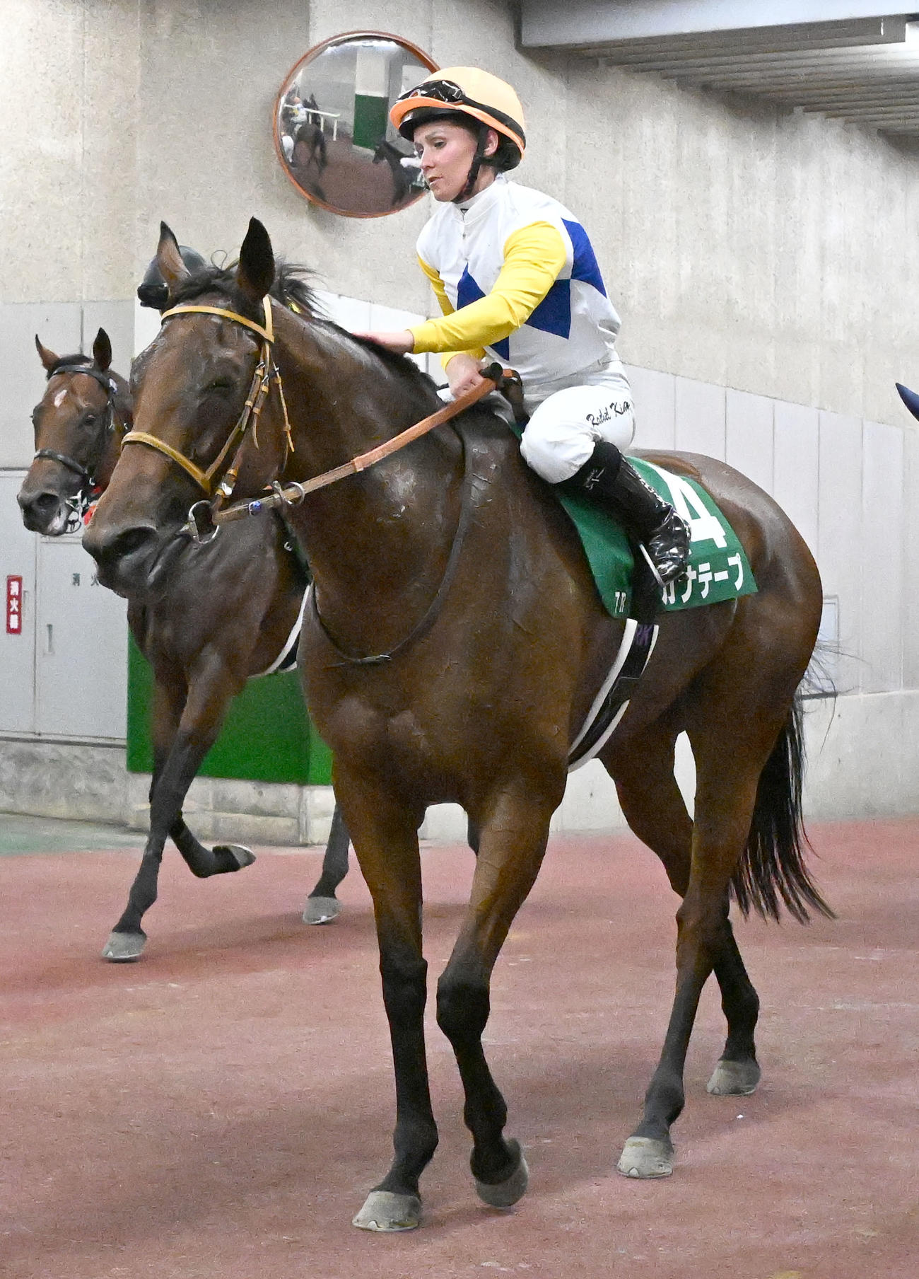 関屋記念を制したカナテープをねぎらうキング騎手（撮影・千葉一成）