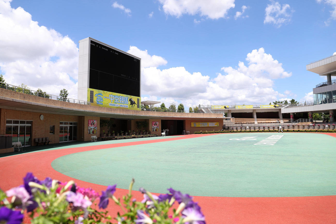 3時間の昼休みに入った中京競馬場のパドック（撮影・白石智彦）