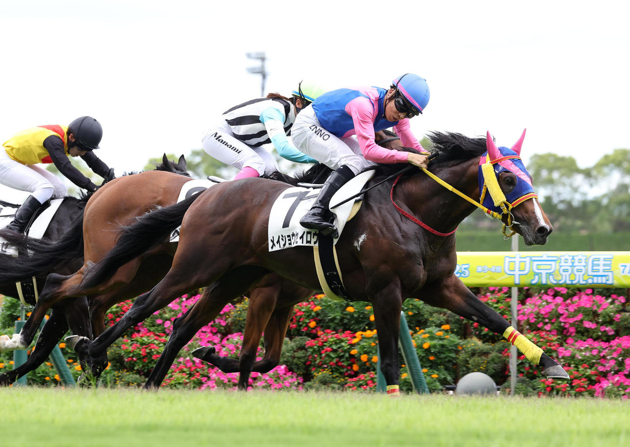 “昼休み”前に開催された中京5R3歳未勝利を勝ち上がったメイショウセイロウ