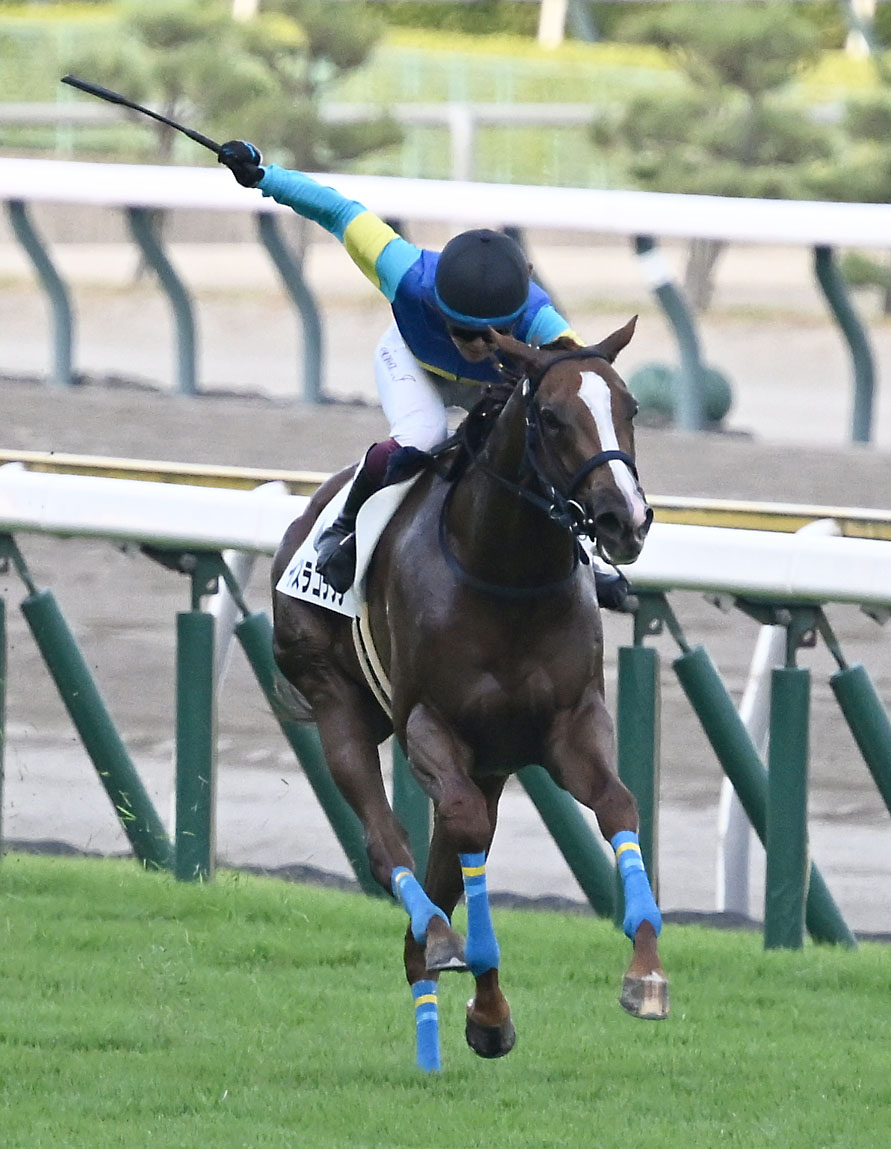 新潟11R、3歳未勝利戦を制したイスラコラソンと今村騎手（撮影・千葉一成）