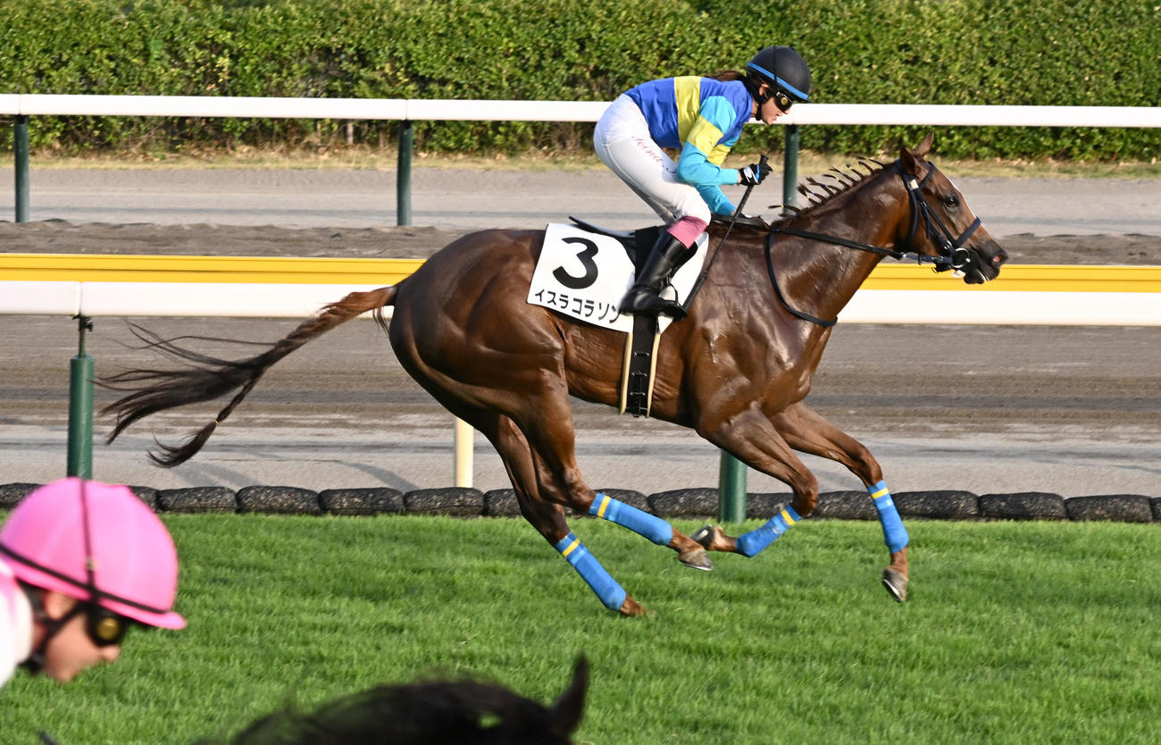 新潟11R、3歳未勝利戦で内ラチ沿いを突いて勝利したイスラコラソンと今村騎手（撮影・千葉一成）