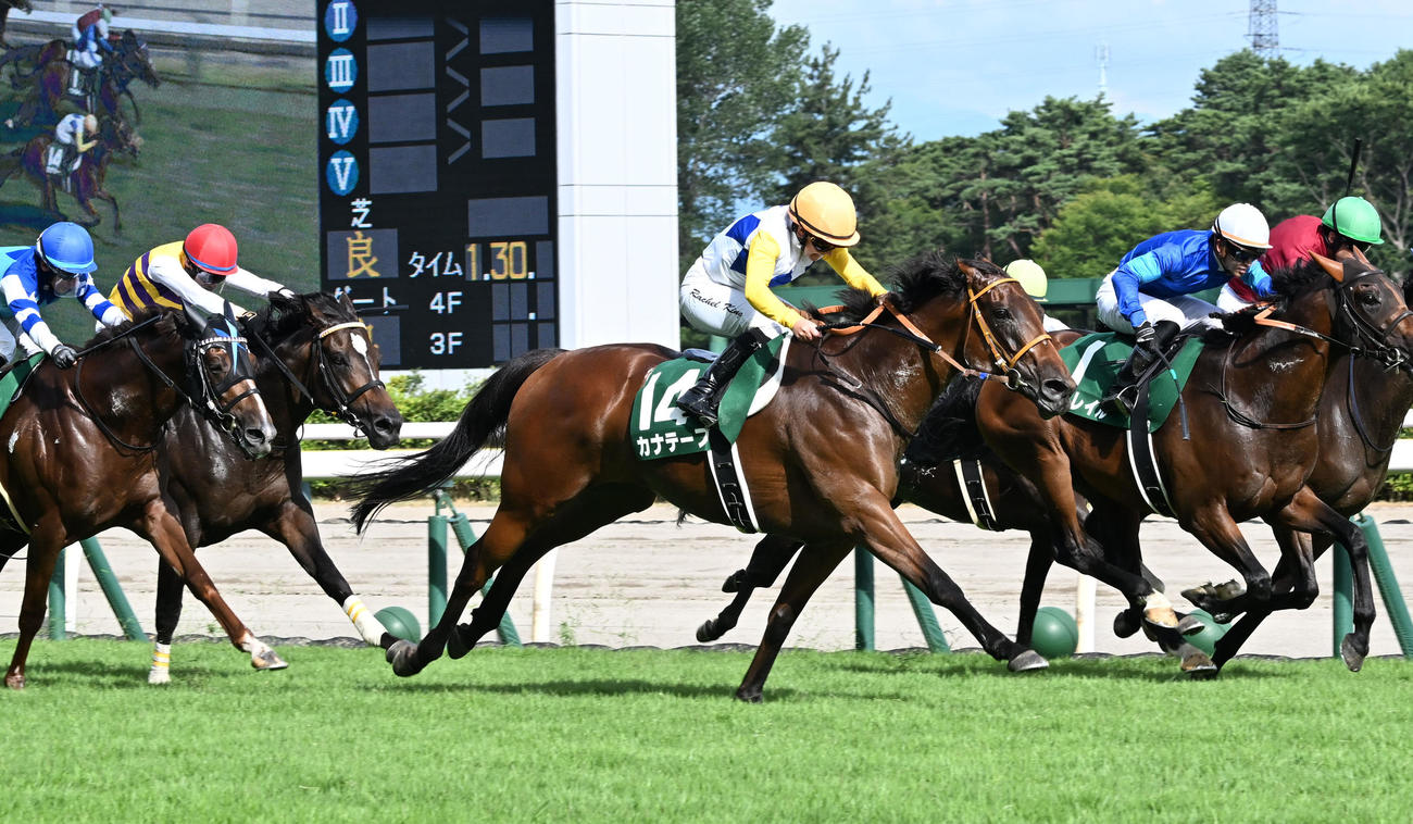 関屋記念を制したカナテープとキング騎手（中央）（撮影・千葉一成）