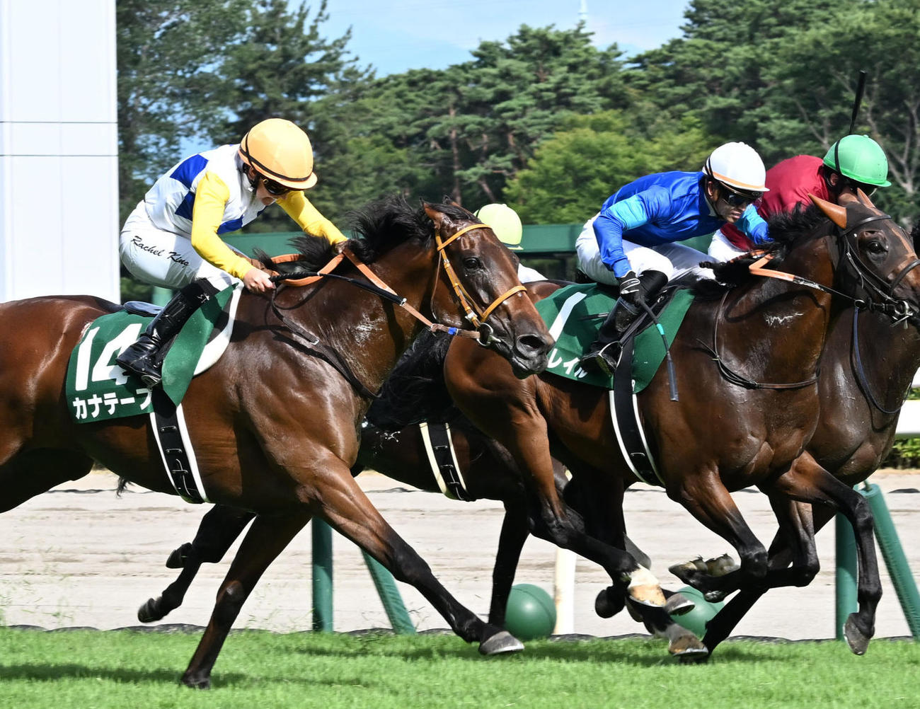 関屋記念2着同着のボンドガール（右奥）（撮影・千葉一成）