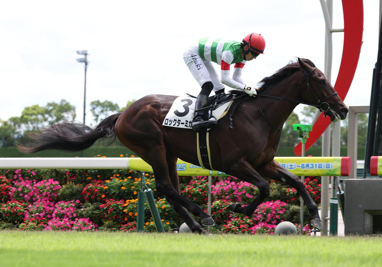 中京3R、直線抜け出して新馬戦を制したロックターミガン（撮影・白石智彦）