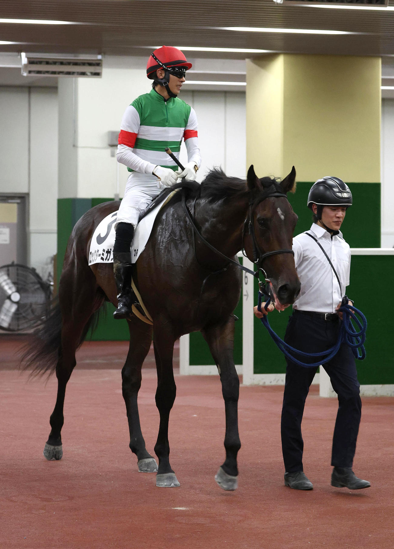 中京3R、新馬戦を制したロックターミガン（撮影・白石智彦）